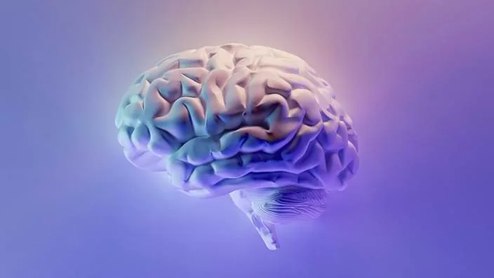 成为高效体育社区领袖的4项必备技能 - 沙巴官方网站